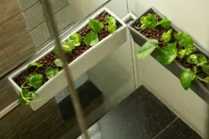 Balcony Gallery